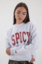 Bej Bisiklet Yaka SPICY Yazılı Şardonlu Sweatshirt