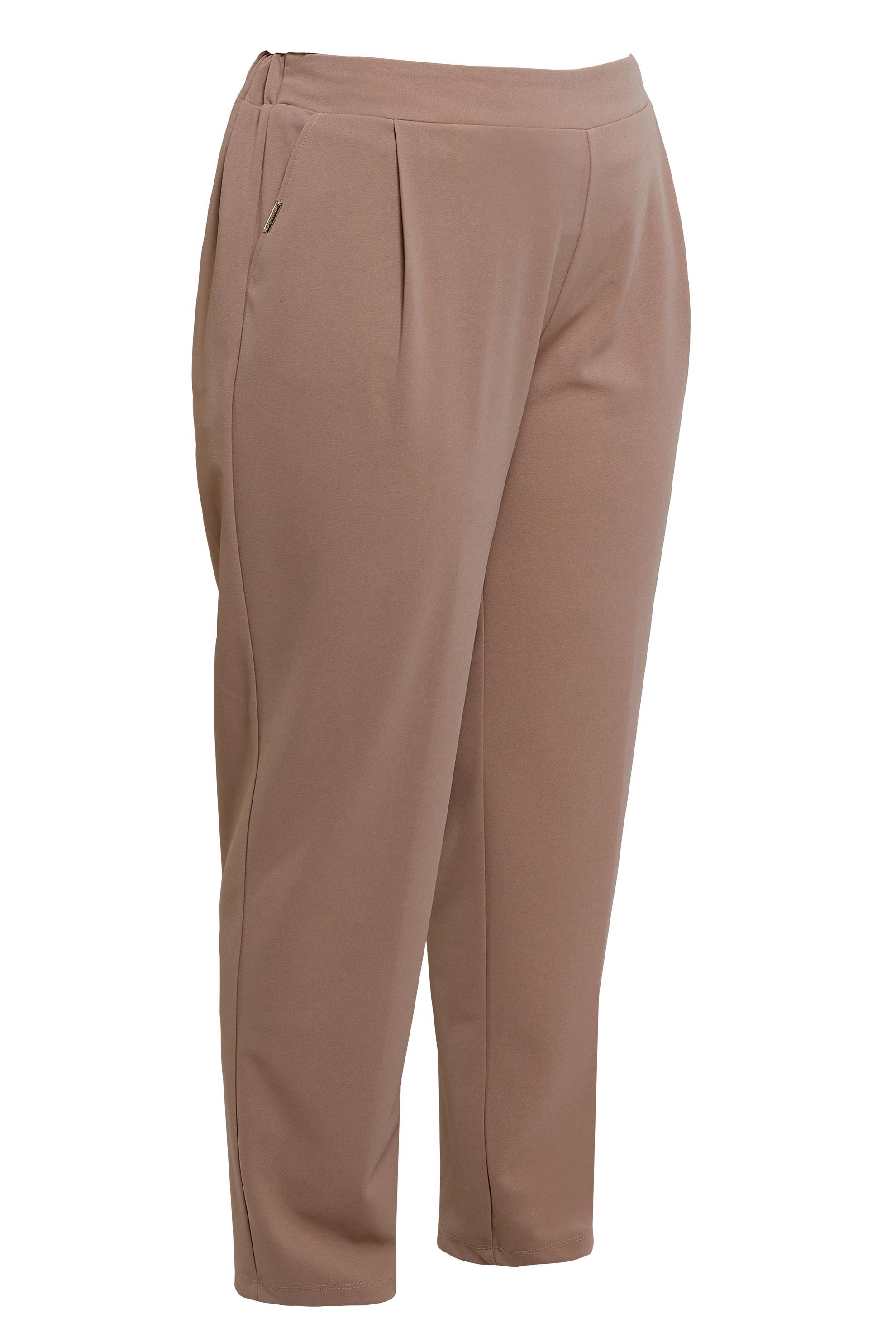 ELASTIC WAIST PLUS SIZE PANTS | ALVİNA