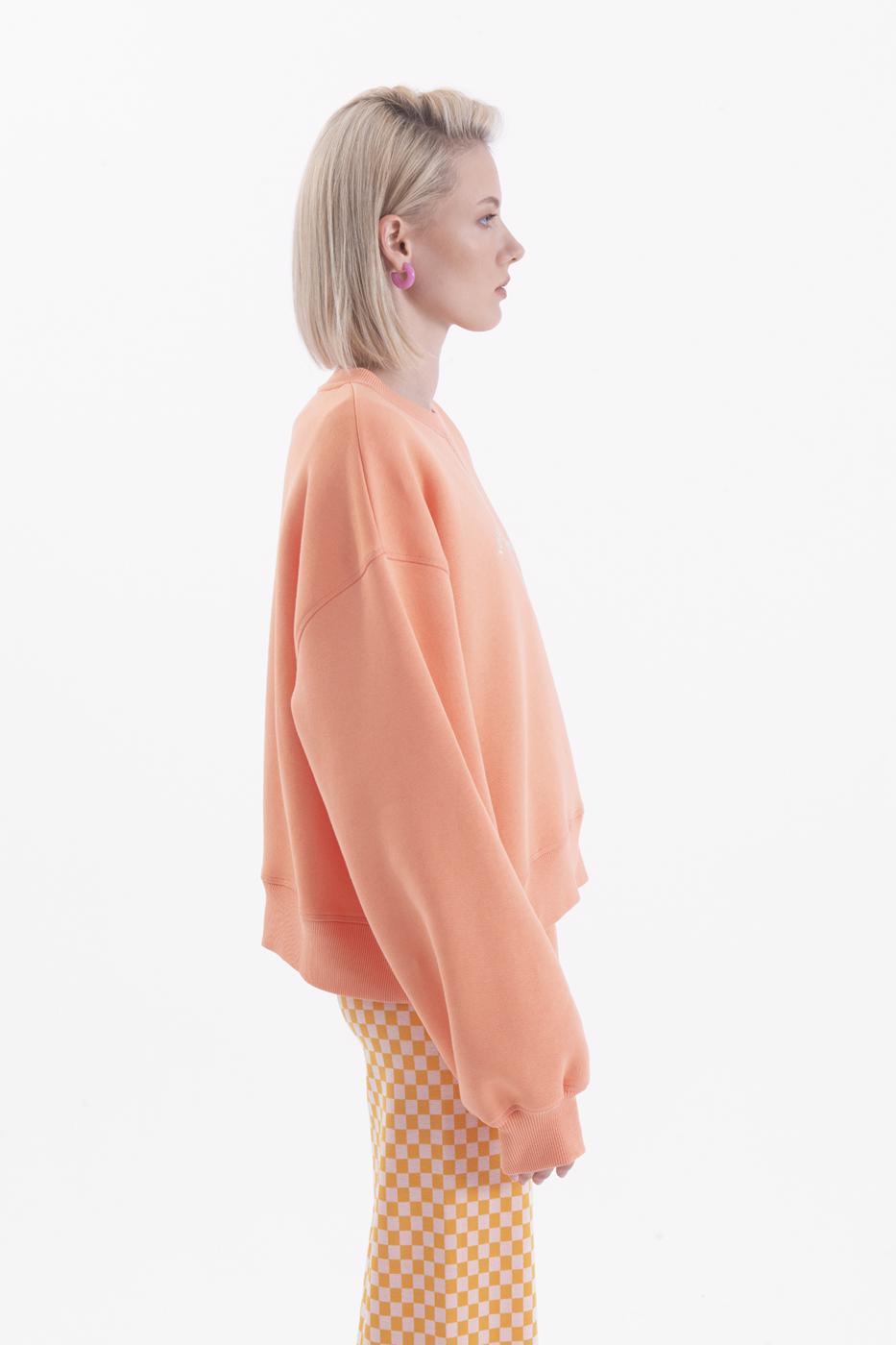 Bayan Somon Baskılı Basic Crop Sweatshirt