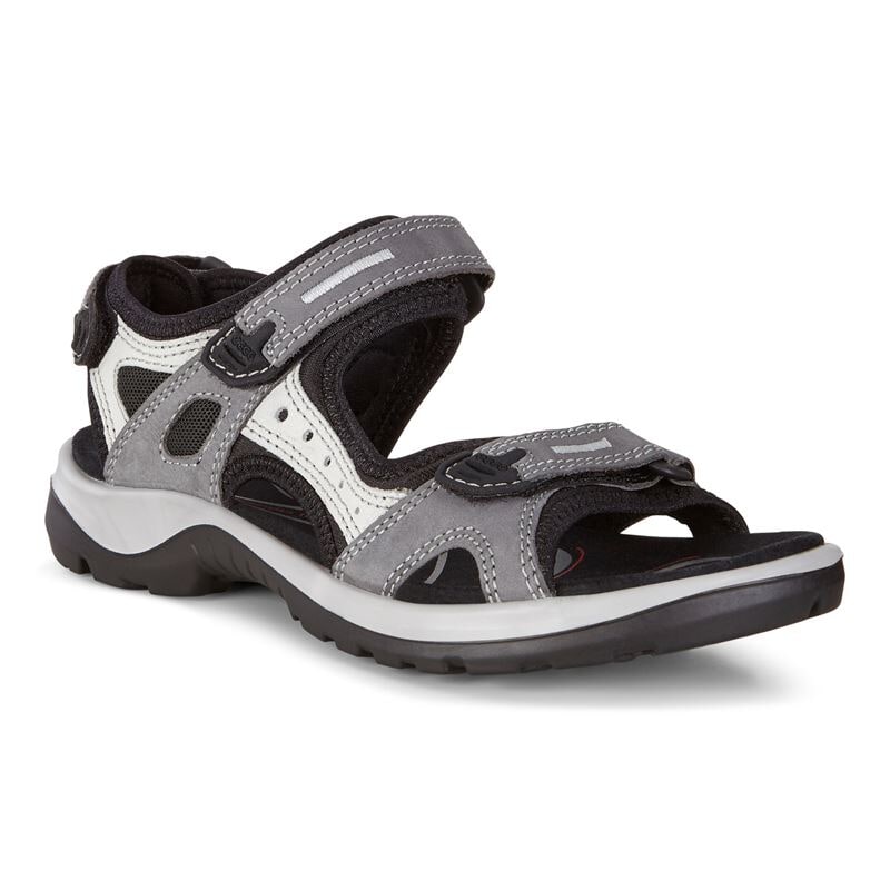 ECCO OFFROAD TITANIUM