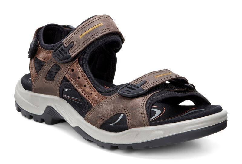 Offroad Espresso/Cocoa Brown/Black OS/L/