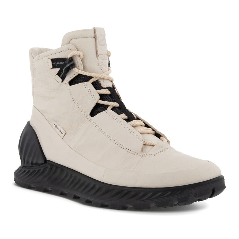 【美品❗】ECCO EXOSTRIKE GORE-TEX　28㎝ Women's ECCO Exostrike Low GORE-TEX Waterproof Sneaker Black