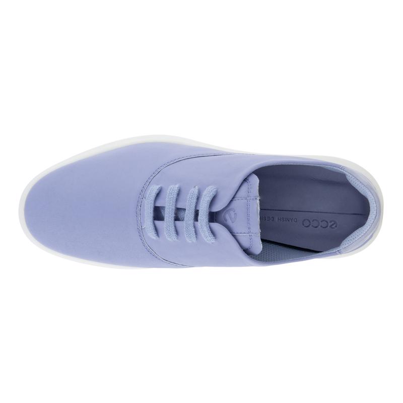 2024人気No.1の | SHOE W MINIMALIST ECCO ECCO® - Türkiye 犬服・アクセサリー