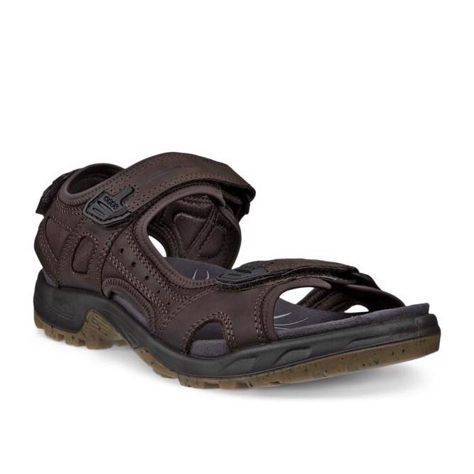 ECCO Offroad Mocha