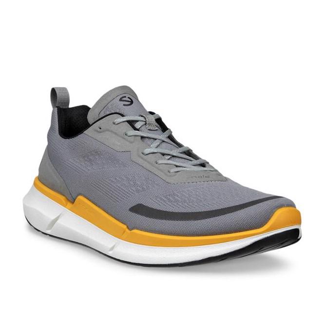 ECCO Biom 2.2 M Wild Dove Sunrise