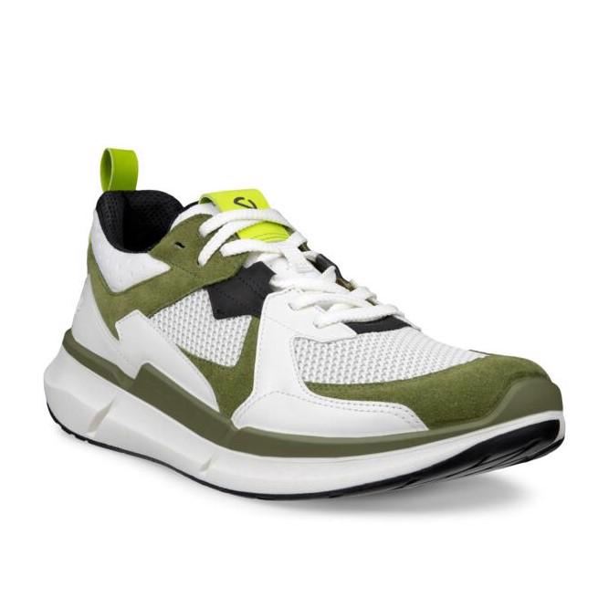 ECCO Biom 2.2 M Acorn