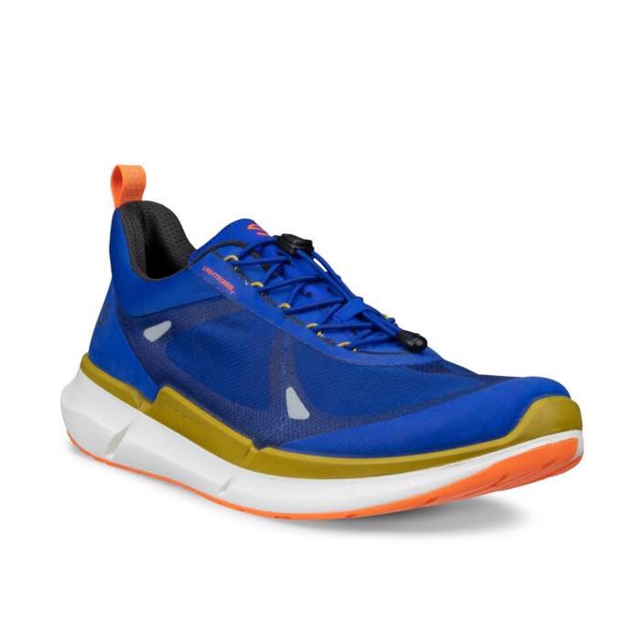 ECCO Biom 2.2 M Virtual