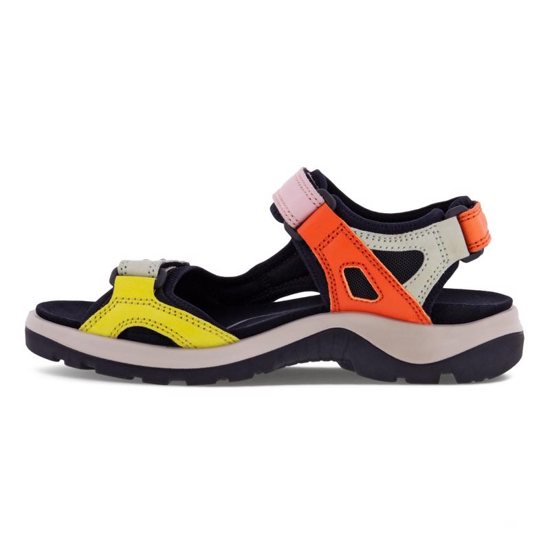 Ecco multicolor cheap