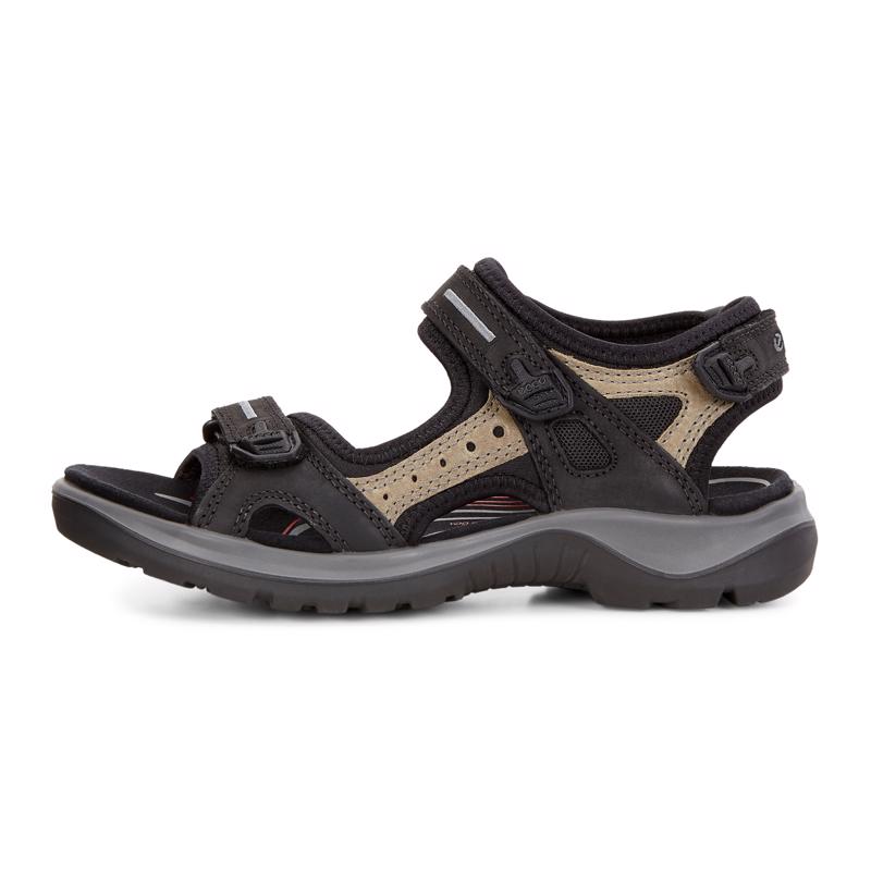 Offroad Black/Mole/Black O.Nub/O.Nub/Tex | ECCO Kuwait Company for the ...