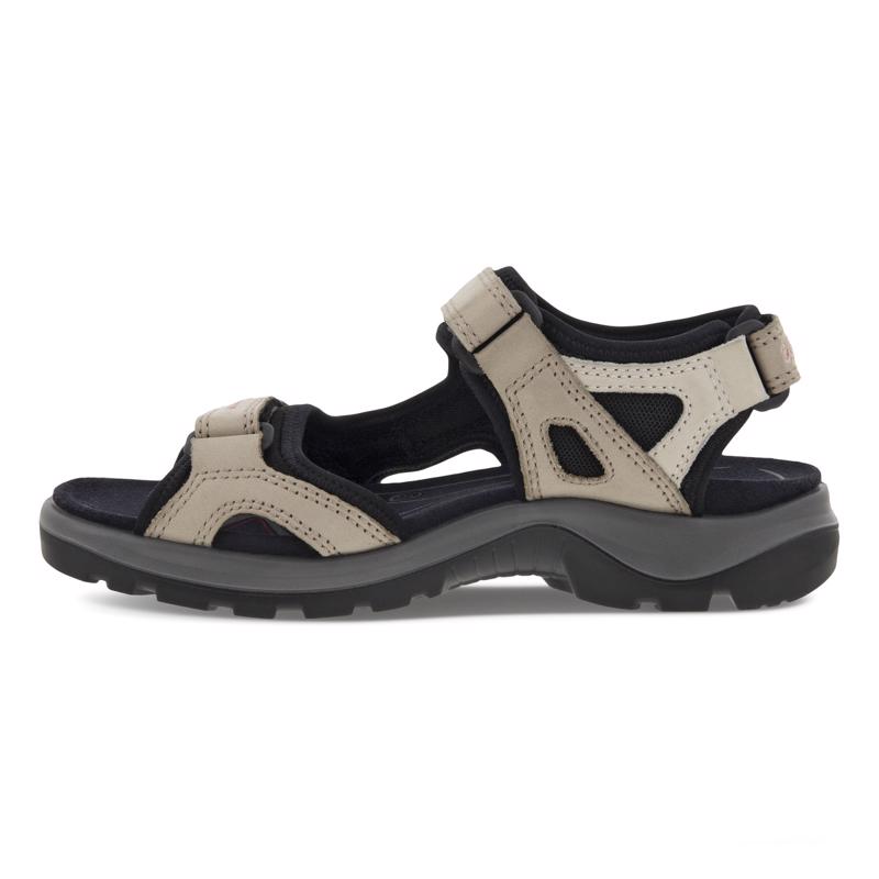 Offroad Atmosp/Ice W/Black Nub/Nub/Tex | ECCO® Middle East A/S