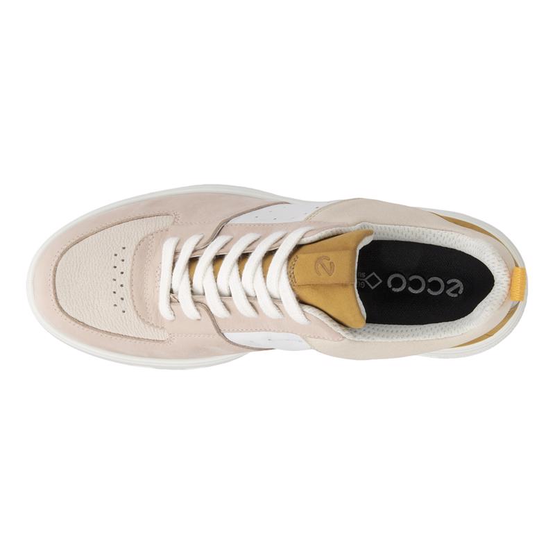 Ecco rose shop dust