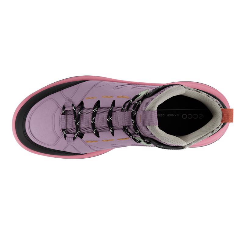 Ecco offroad lite purple hot sale