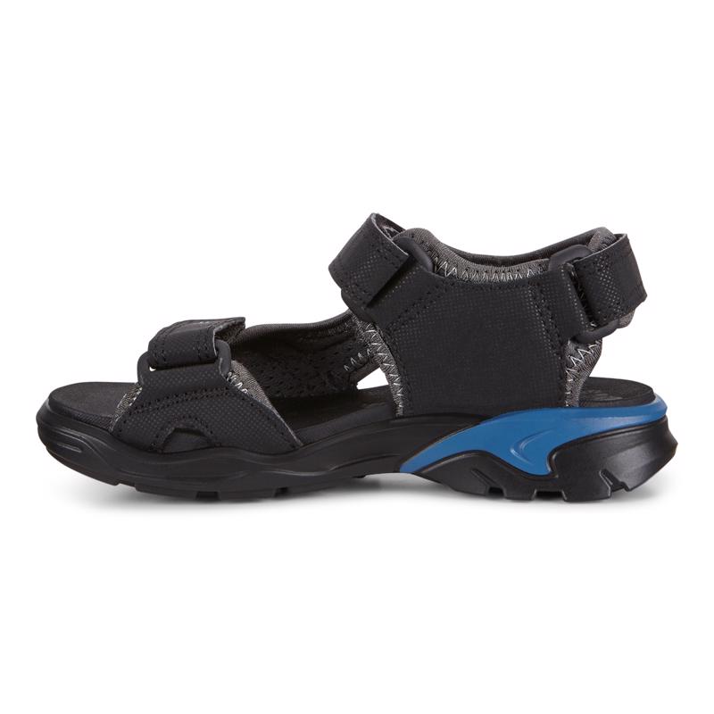 ECCO BIOM RAFT BLACK/DARK SHADOW | ECCO® Middle East A/S