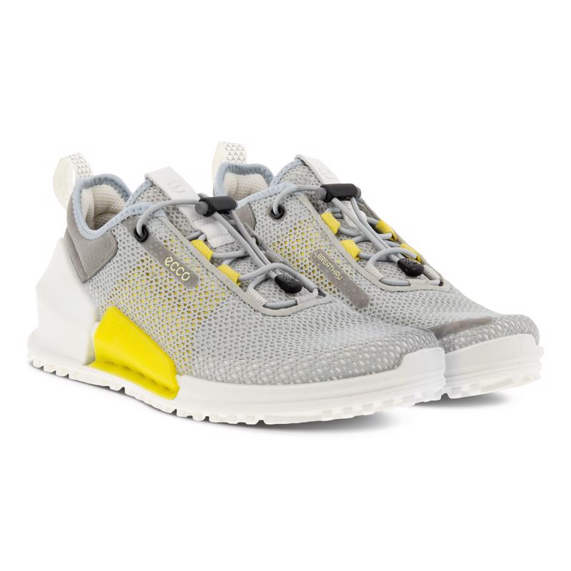 ECCO BIOM 2.0 W Low BREATHRU