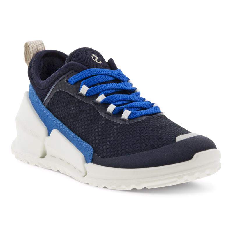 Ecco clearance biom trainers