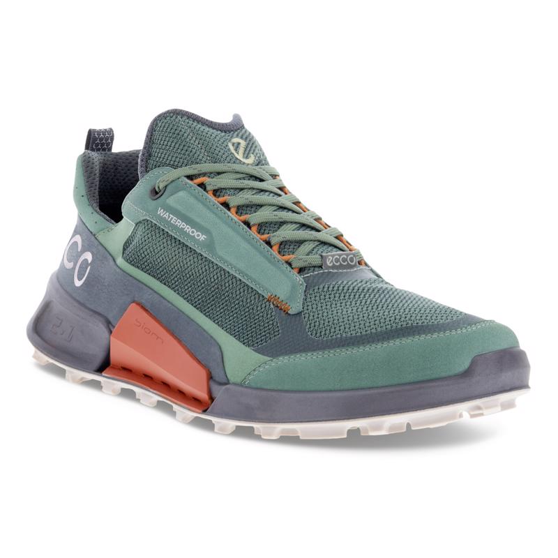 Ecco biom terrain green on sale