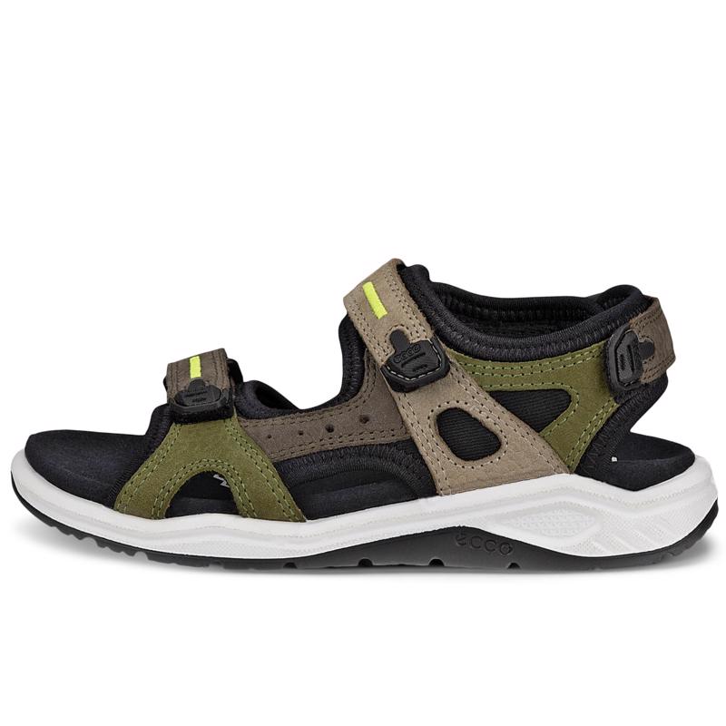 Ecco touch 75 green discount