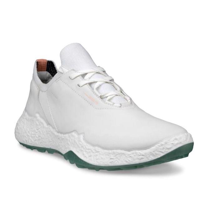 楽天市場】エコーゴルフ ECCO GOLF 日本正規品 レディース