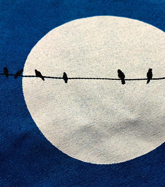 Bayan Mavi Birds