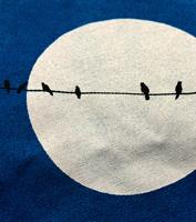Bayan Mavi Birds