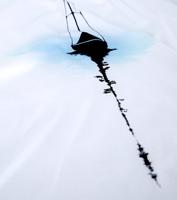 Bayan Beyaz Reflection 2