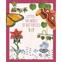 genel The World of Butterflies 