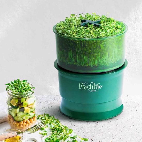 Erkek genel Freshlife  Otomatik Sulamalı Filizlendirici