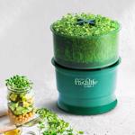 Erkek genel Freshlife  Otomatik Sulamalı Filizlendirici
