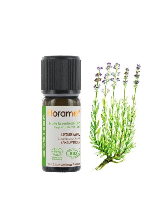 Erkek genel Lavanta Aspik (Lavandula latifolia) -10 ml