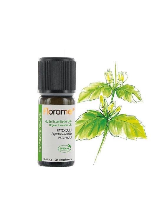 Erkek genel Paçuli (Tefarik) (Pogostemon cablin)-10 ml