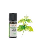 Erkek genel Paçuli (Tefarik) (Pogostemon cablin)-10 ml