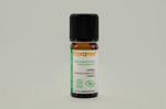 Erkek genel Servi Kozalağı (Cupressus sempervirens)-10 ml
