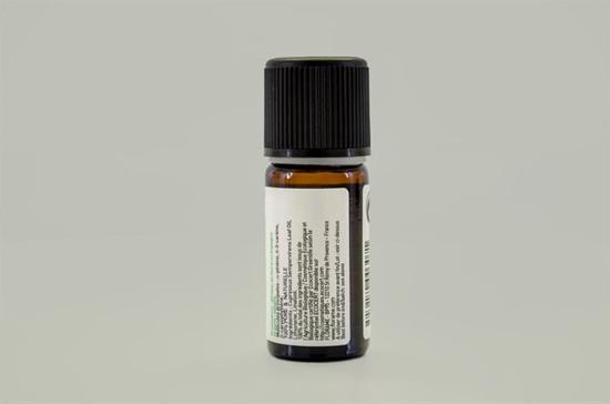 Erkek genel Servi Kozalağı (Cupressus sempervirens)-10 ml