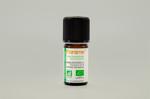 Erkek genel Tarçın (Cinnamomum verum ) - 5 ml