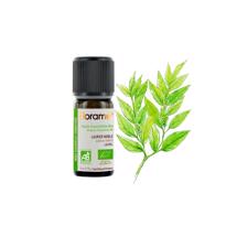  Defne Yaprağı (Laurus nobilis) - 5 ml 