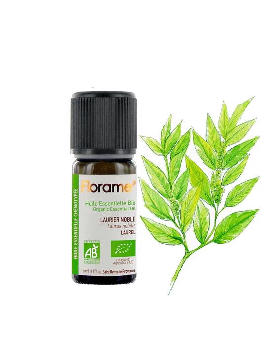 Erkek genel Defne Yaprağı (Laurus nobilis) - 5 ml