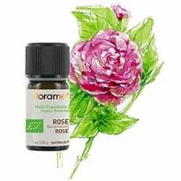  Gül Yağı (Rosa damascena) - 1 ml 