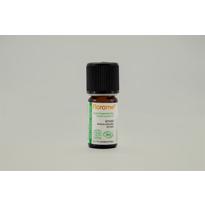  Vetiver (Vetiveria zinzanoïde)- 5 ml 
