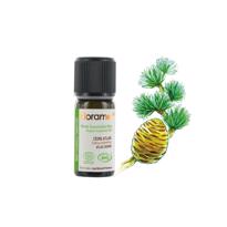 genel Sedir  (Cedrus atlantica)-10 ml 