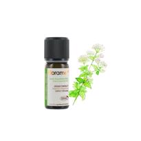 genel Origanum (Origanum compactum)-5ml 