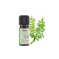 genel Frankincense -Günlük (Boswellia carterii) -5 ml 