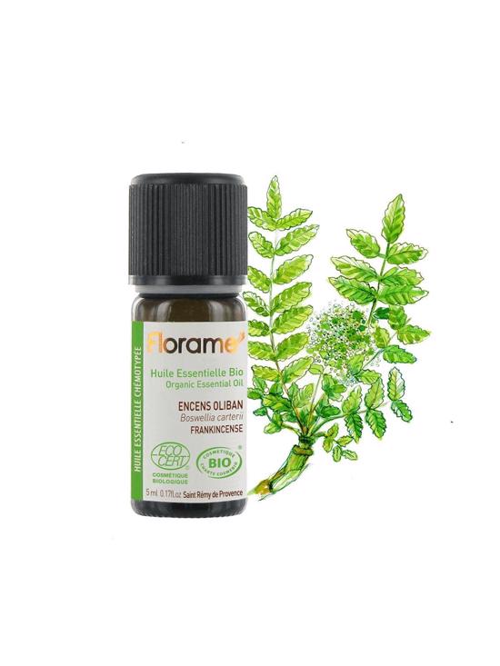 Erkek genel Frankincense -Günlük (Boswellia carterii) -5 ml