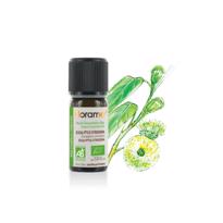 genel Limon Okaliptus (Eucalyuptus citridora) - 10 ml 