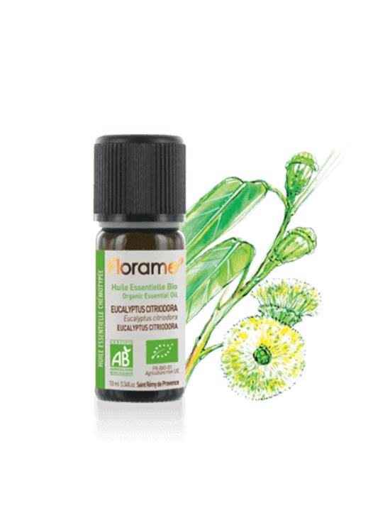 Erkek genel Limon Okaliptus (Eucalyuptus citridora) - 10 ml