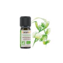 genel Okaliptus (Eucalyptus globulus)-10 ml 