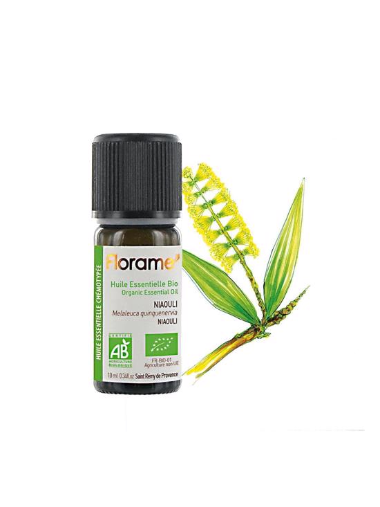 Erkek genel Niaouli (Melaleuca viridiflora)-10 ml