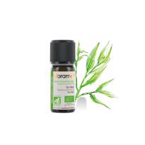 genel Çay Ağacı (Melaleuca alternifolia)-10 ml 