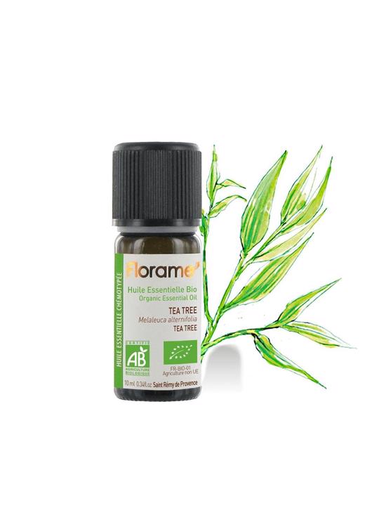 Erkek genel Çay Ağacı (Melaleuca alternifolia)-10 ml