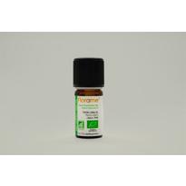 genel Kekik (Thymus vulgaris ct linalol)-5 ml 