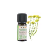 genel Ölmezçiçek - Helikrizum (Helichrysum italicum)-5 m 